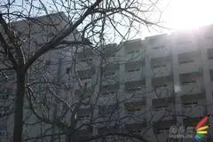 副厂镜头不副适马24-70F/2.8HSM评测(9)