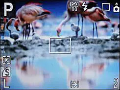 时尚可爱不乏精致小巧佳能E1详尽评测(4)