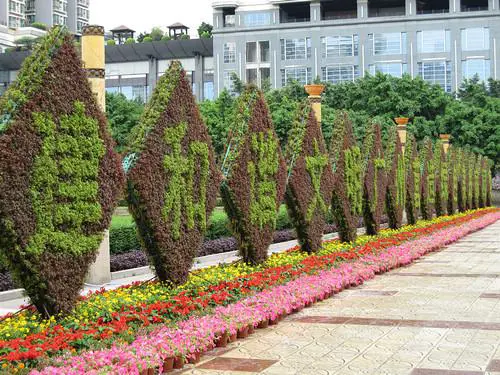 宽屏高清大广角佳能IXUS110IS评测(8)