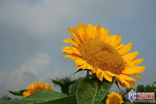 走向高端索尼首款全画幅单反α900评测(19)