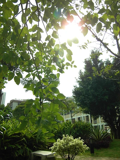 三星NV100HD评测 三星NV100HD评测