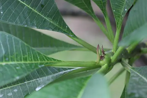 骨子里的强悍佳能升级版单反50D评测(16)