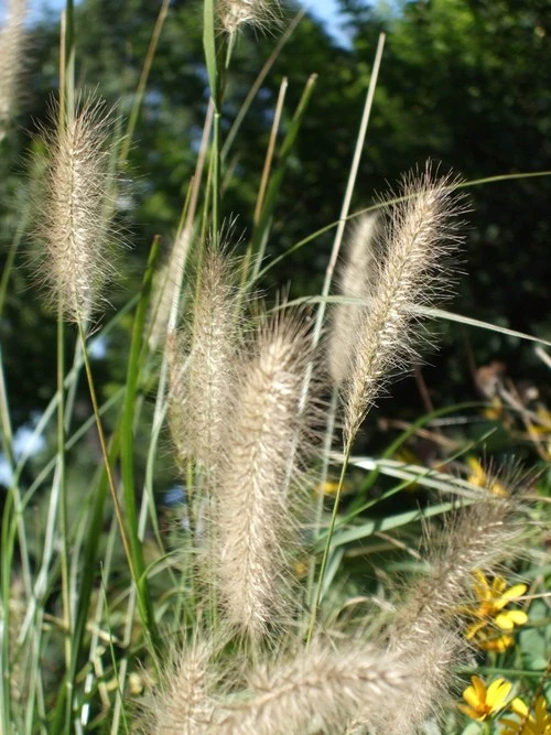 第七代Super CCD 富士高性价比F60fd评测 