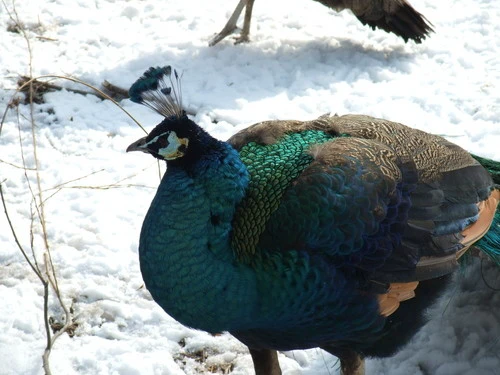 口袋中的高画质DC 富士F200EXR评测首发 