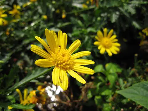 宽屏高清大广角佳能IXUS110IS评测(8)