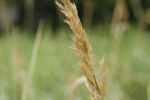 轻松拍摄优秀影像 翻转屏索尼A390评测 