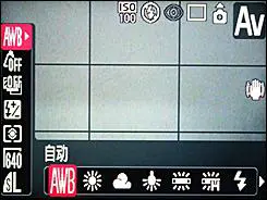 压倒性长焦力量20倍光变佳能SX10IS评(5)