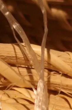 骨子里的强悍佳能升级版单反50D评测(12)