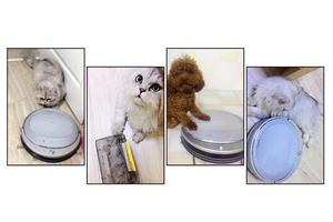 专治宠物毛发，海尔智能扫地机器人京东618大促提前抢