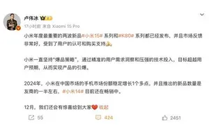 卢伟冰：小米 15/K80系列反馈都很好，12月还有惊喜