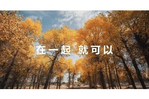 华为Mate品牌盛典开启