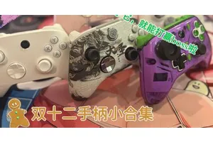 双十二手柄合集，现在手柄圈子没活还真不行。