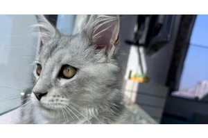 回顾一下从大一到现在用过的手机