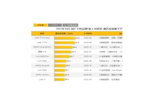 墙内外两开花 OPPO斩获10月国产旗舰激活数TOP3