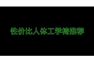 499元超高性价比的人体工学椅推荐