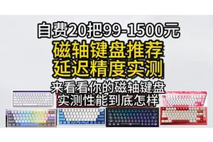 自费购入近20把99