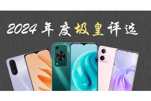 不要再来制裁消费者了！2024年度圾皇颁奖仪式