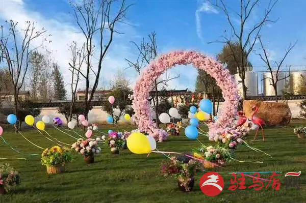 0e05b118607be04274d7d06fa136519