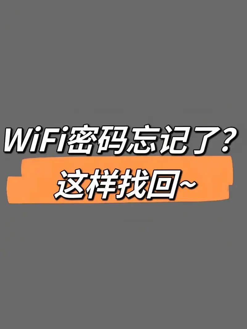 忘记手机wifi密码怎么办