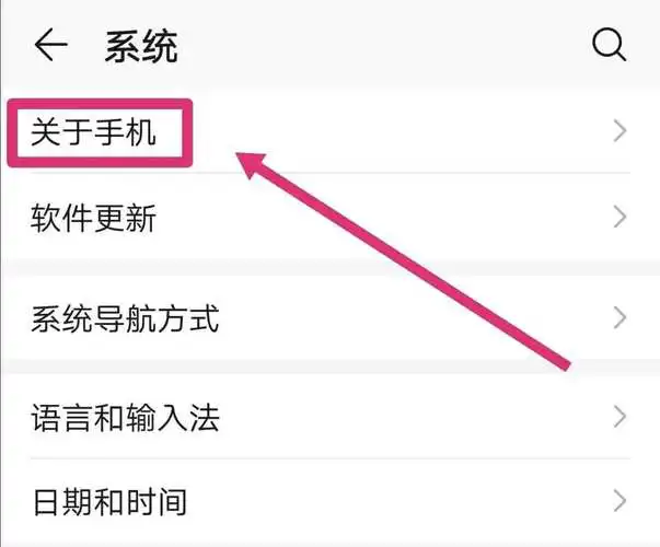 vivo手机的开发者选项在哪里