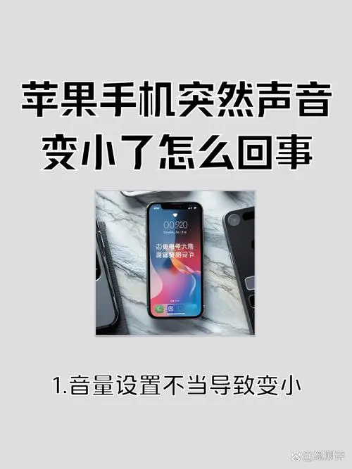 手机进水了声音变小了怎么办