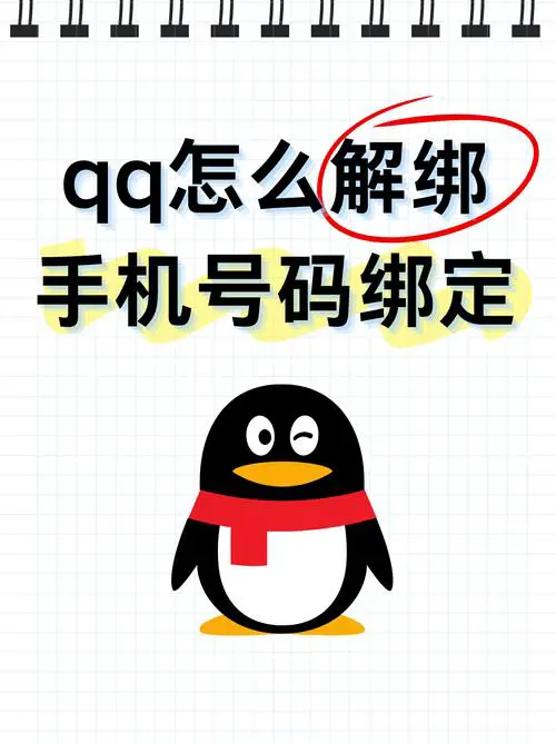 怎么查看qq绑定的手机号
