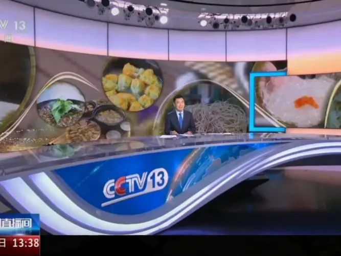 cctv13在线直播手机版