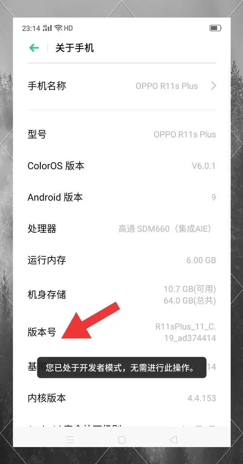 oppo手机开发者选项在哪里打开