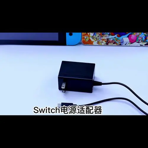 switch可以用手机充电器吗