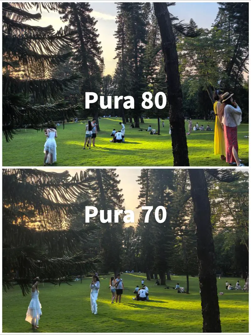 手机拍照和相机拍照的区别