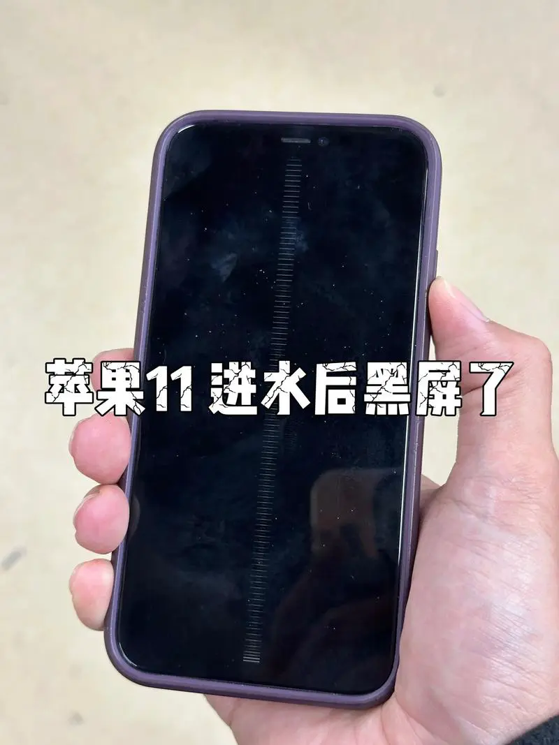 手机进水后屏幕失灵怎么办