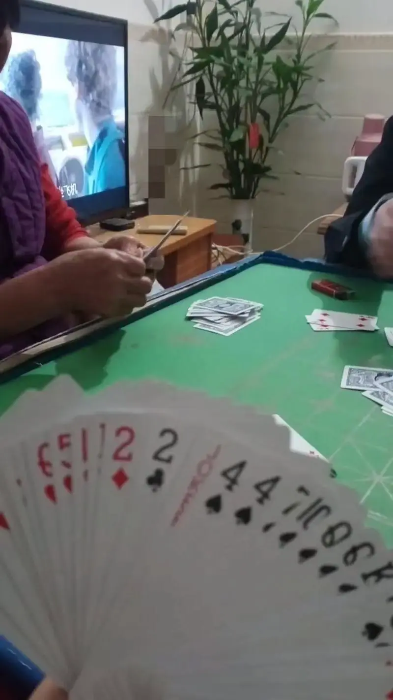 雷州升级四副牌手机版下载