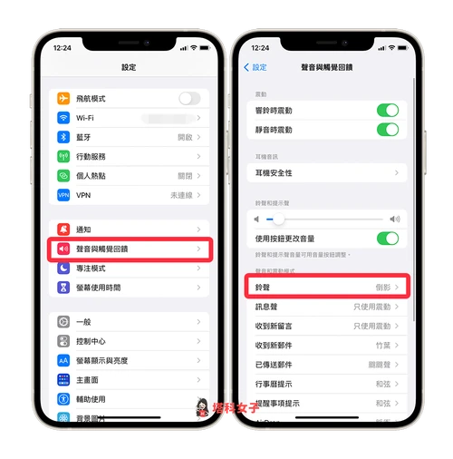 苹果手机设置铃声怎么删除
