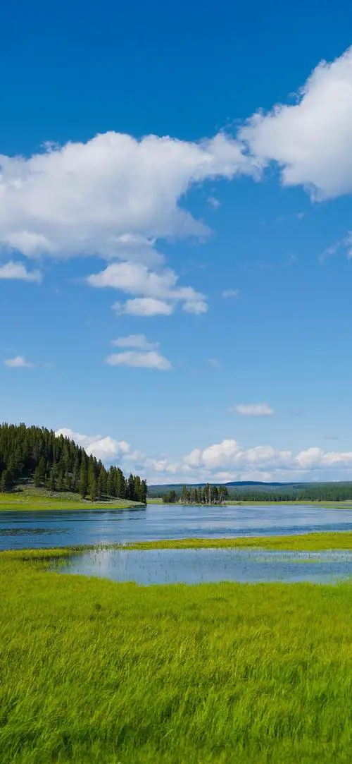 好看的手机壁纸图片大全